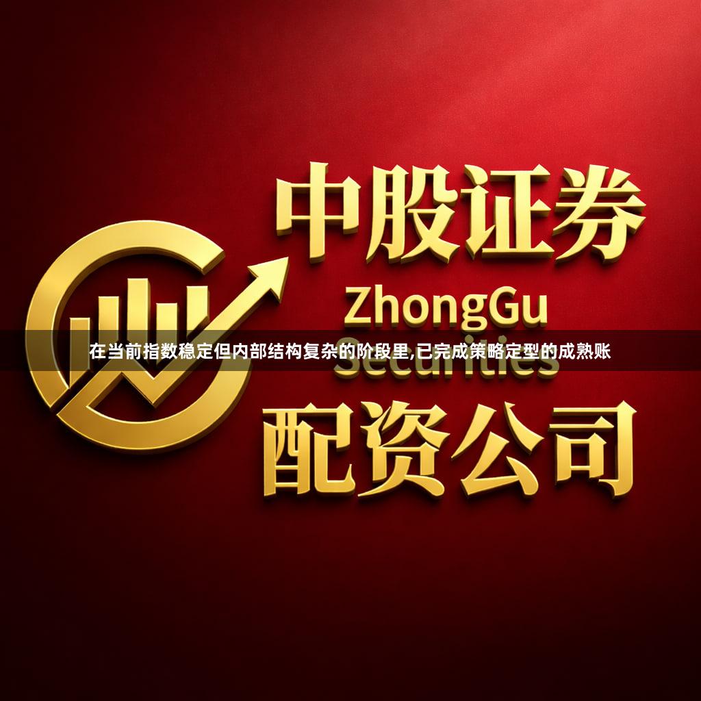 在当前指数稳定但内部结构复杂的阶段里,已完成策略定型的成熟账