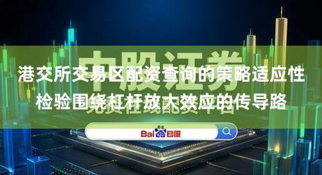 港交所交易区配资查询的策略适应性检验围绕杠杆放大效应的传导路