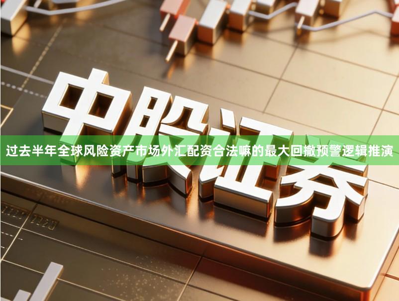 过去半年全球风险资产市场外汇配资合法嘛的最大回撤预警逻辑推演