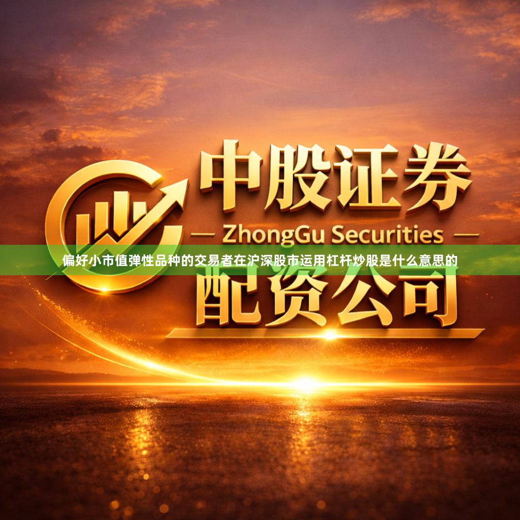 偏好小市值弹性品种的交易者在沪深股市运用杠杆炒股是什么意思的