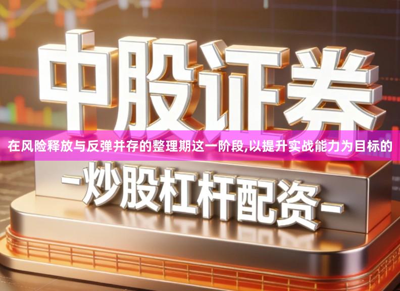 在风险释放与反弹并存的整理期这一阶段,以提升实战能力为目标的